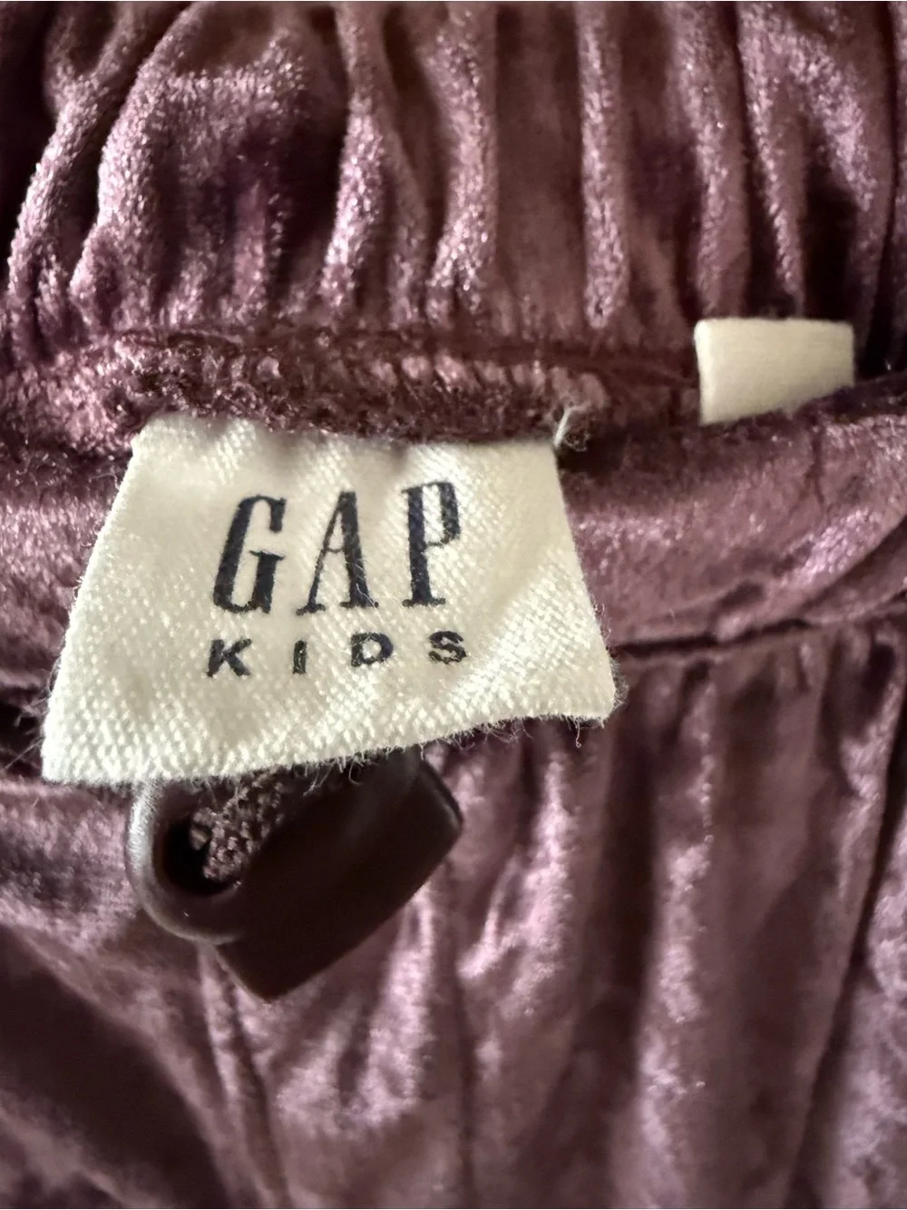 Velvet Jogger Pants in Mauve Purple for Kids. GAP. New condition